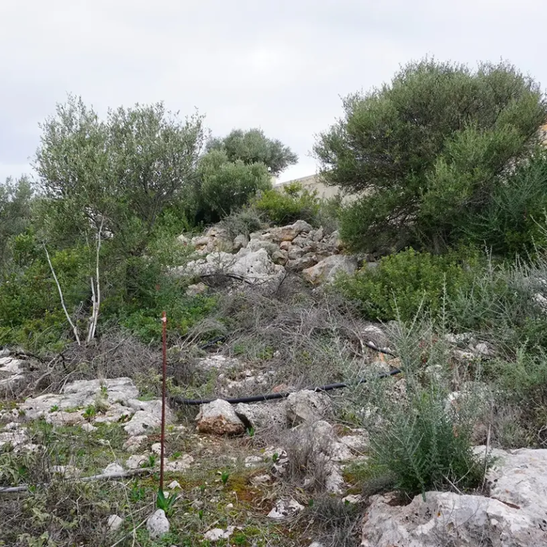 Plot for Sale in Pithari, Akrotiri Area