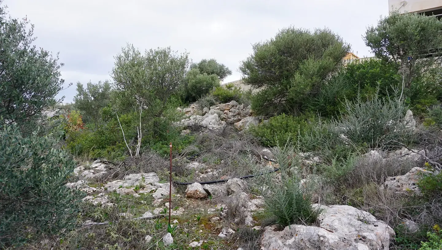 Plot for Sale in Pithari, Akrotiri Area
