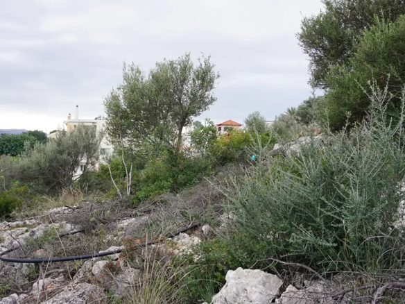 Plot for Sale in Pithari, Akrotiri Area