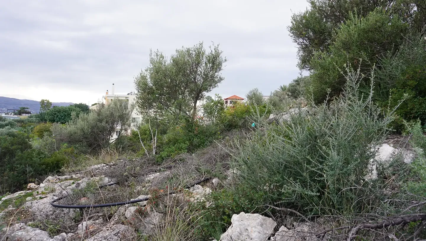 Plot for Sale in Pithari, Akrotiri Area