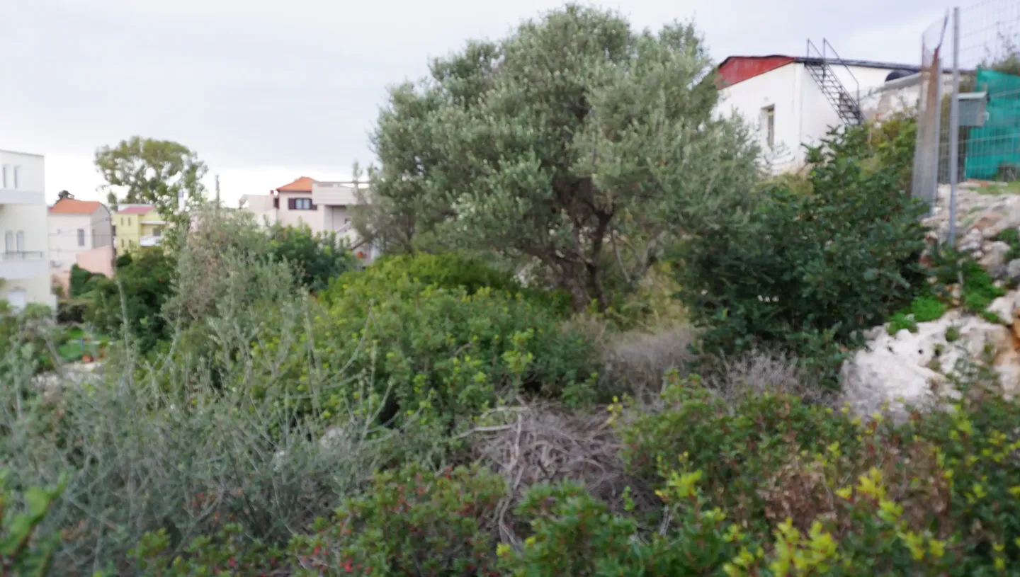 Plot for Sale in Pithari, Akrotiri Area