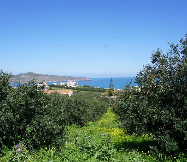 Agia Marina Plot for Sale, Chania - ARENCORES Real Estate Experts