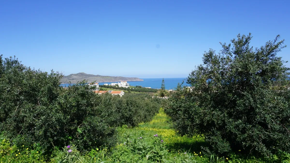 Agia Marina Plot for Sale, Chania - ARENCORES Real Estate Experts