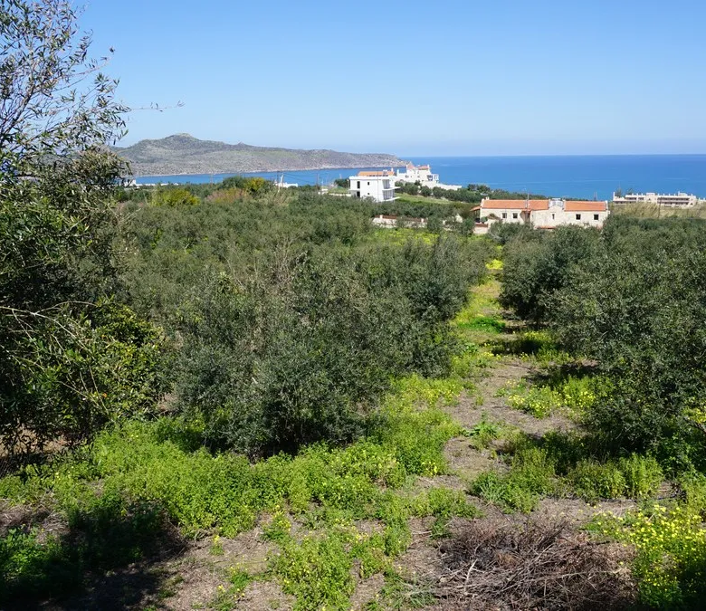 Agia Marina Plot for Sale, Chania - ARENCORES Real Estate Experts