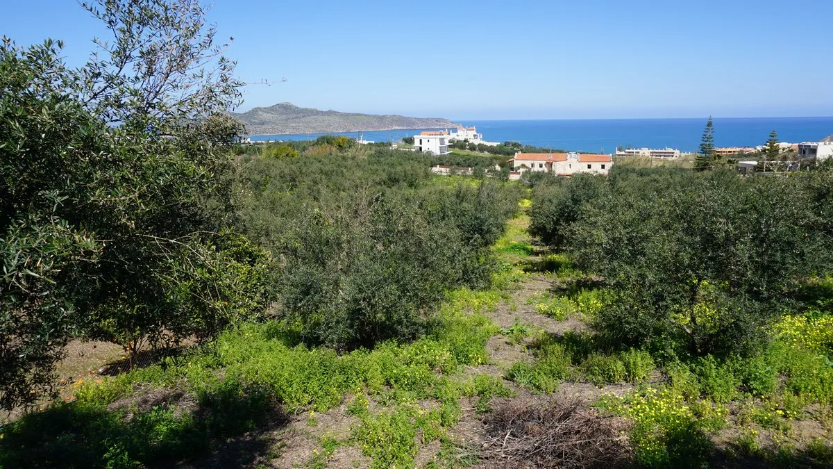 Agia Marina Plot for Sale, Chania - ARENCORES Real Estate Experts