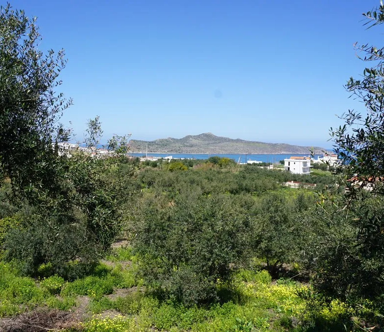 Agia Marina Plot for Sale, Chania - ARENCORES Real Estate Experts