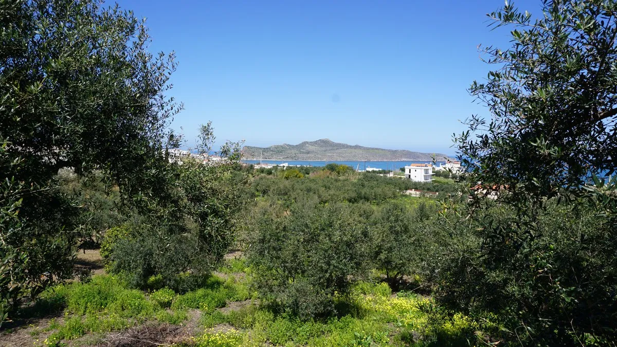Agia Marina Plot for Sale, Chania - ARENCORES Real Estate Experts