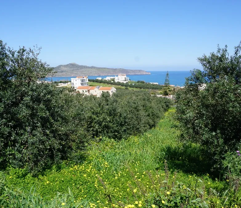 Agia Marina Plot for Sale, Chania - ARENCORES Real Estate Experts
