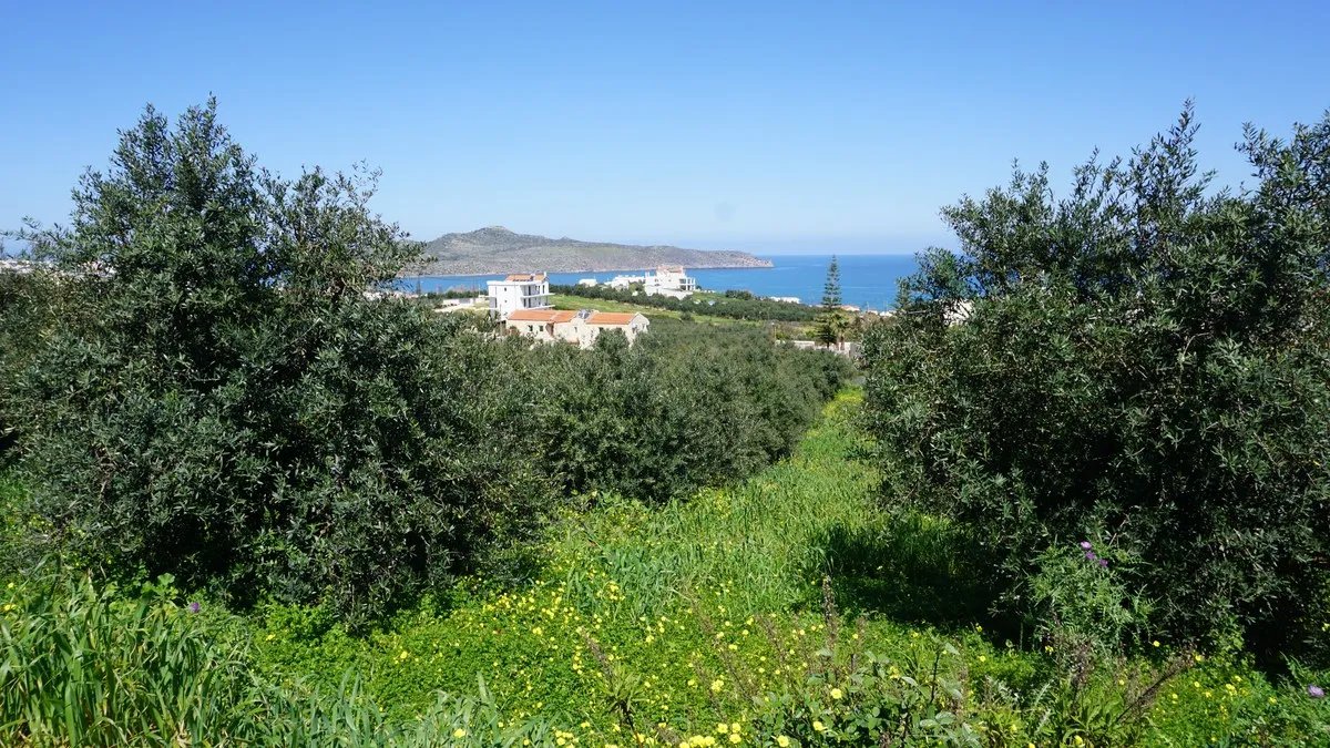 Agia Marina Plot for Sale, Chania - ARENCORES Real Estate Experts
