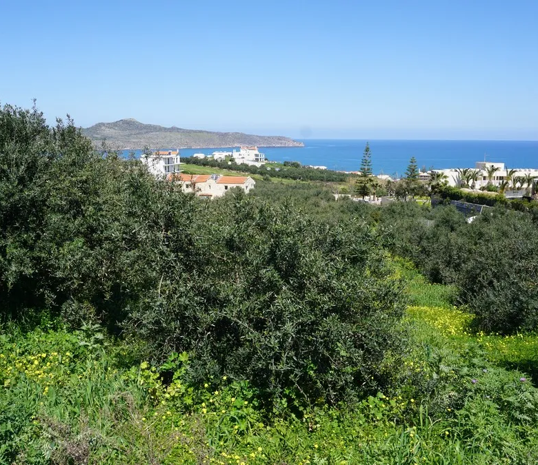 Agia Marina Plot for Sale, Chania - ARENCORES Real Estate Experts