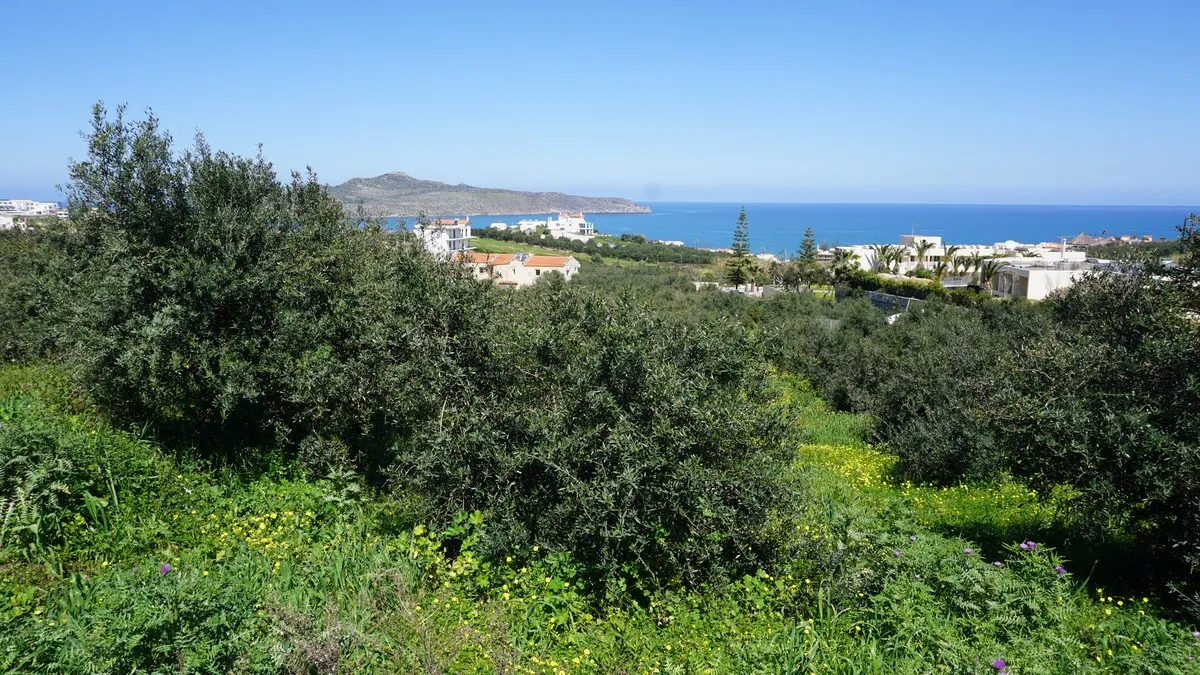 Agia Marina Plot for Sale, Chania - ARENCORES Real Estate Experts