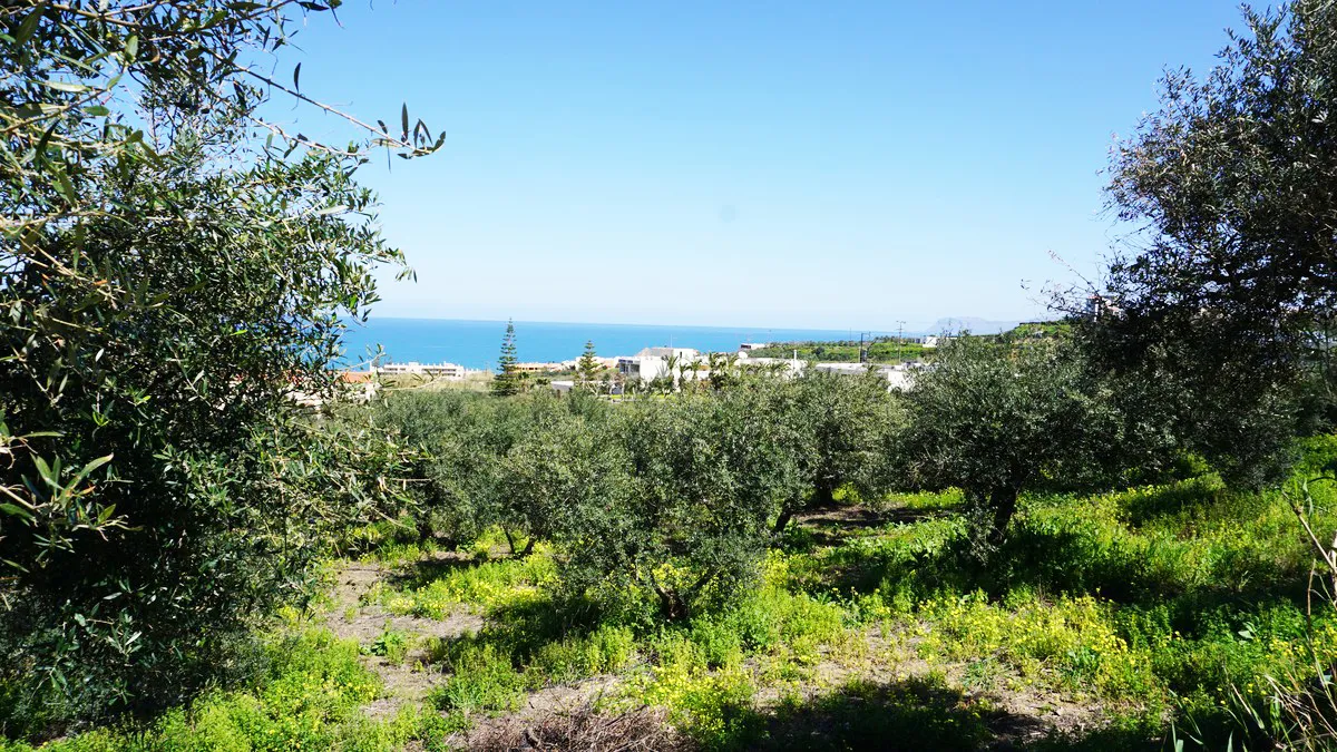Agia Marina Plot for Sale, Chania - ARENCORES Real Estate Experts