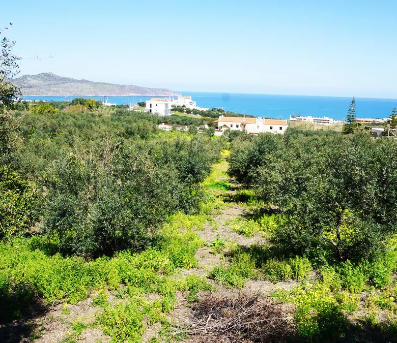 Agia Marina Plot for Sale, Chania - ARENCORES Real Estate Experts