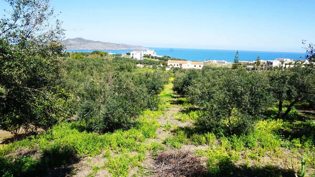 Agia Marina Plot for Sale, Chania - ARENCORES Real Estate Experts