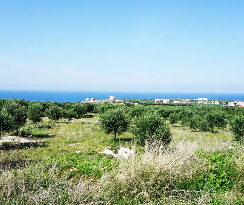 Agios Onoufrios Plot For Sale, Akrotiri Area - ARENCORES, Chania Real Estate Experts