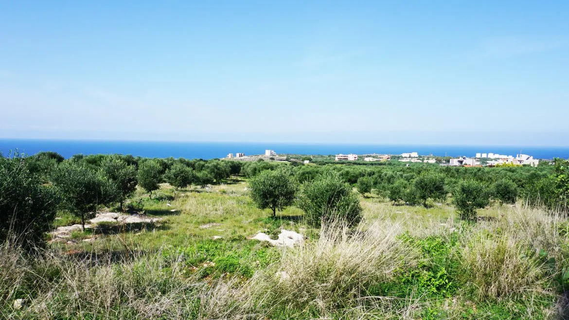 Agios Onoufrios Plot For Sale, Akrotiri Area - ARENCORES, Chania Real Estate Experts
