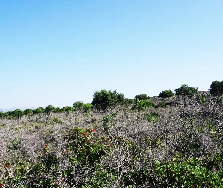 Agios Onoufrios Plot For Sale, Akrotiri Area - ARENCORES, Chania Real Estate Experts