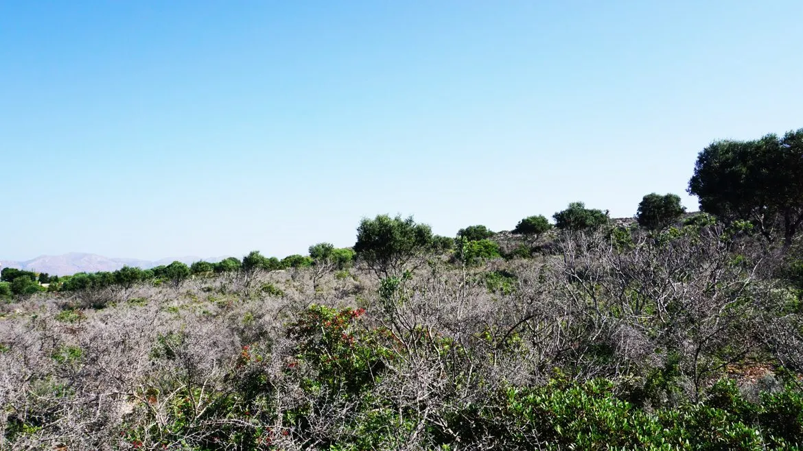 Agios Onoufrios Plot For Sale, Akrotiri Area - ARENCORES, Chania Real Estate Experts