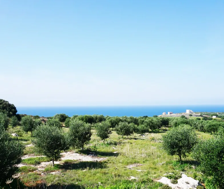 Agios Onoufrios Plot For Sale, Akrotiri Area - ARENCORES, Chania Real Estate Experts