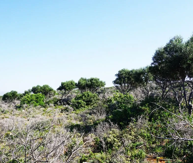Agios Onoufrios Plot For Sale, Akrotiri Area - ARENCORES, Chania Real Estate Experts