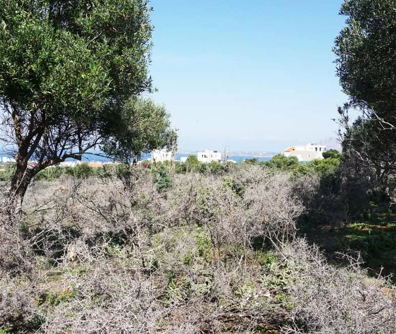 Agios Onoufrios Plot For Sale, Akrotiri Area - ARENCORES, Chania Real Estate Experts