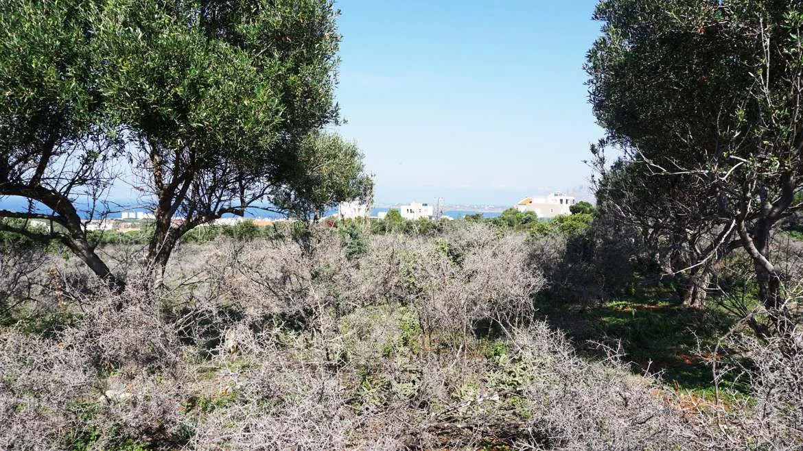 Agios Onoufrios Plot For Sale, Akrotiri Area - ARENCORES, Chania Real Estate Experts