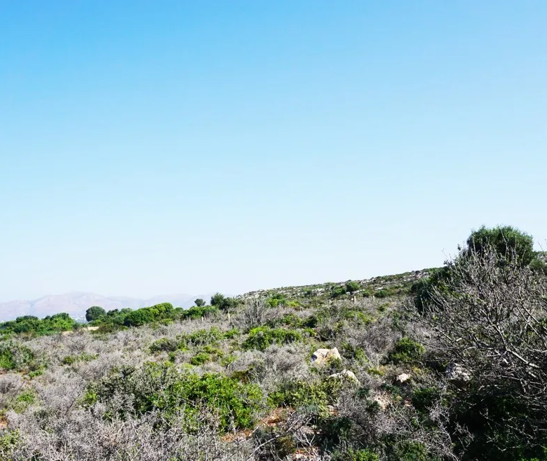 Agios Onoufrios Plot For Sale, Akrotiri Area - ARENCORES, Chania Real Estate Experts