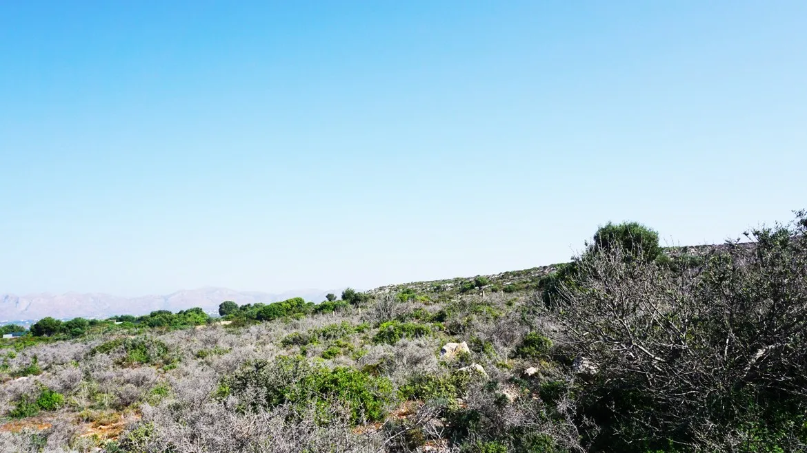 Agios Onoufrios Plot For Sale, Akrotiri Area - ARENCORES, Chania Real Estate Experts