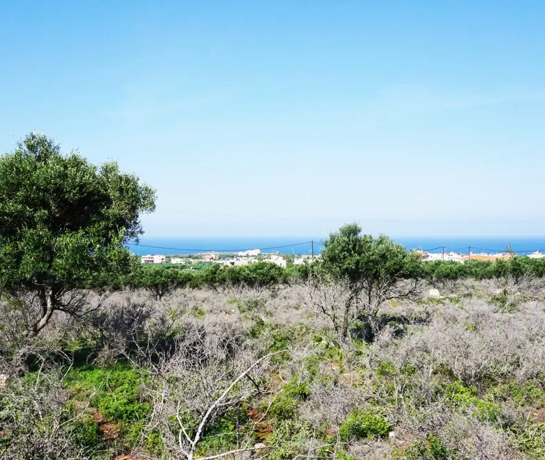 Agios Onoufrios Plot For Sale, Akrotiri Area - ARENCORES, Chania Real Estate Experts