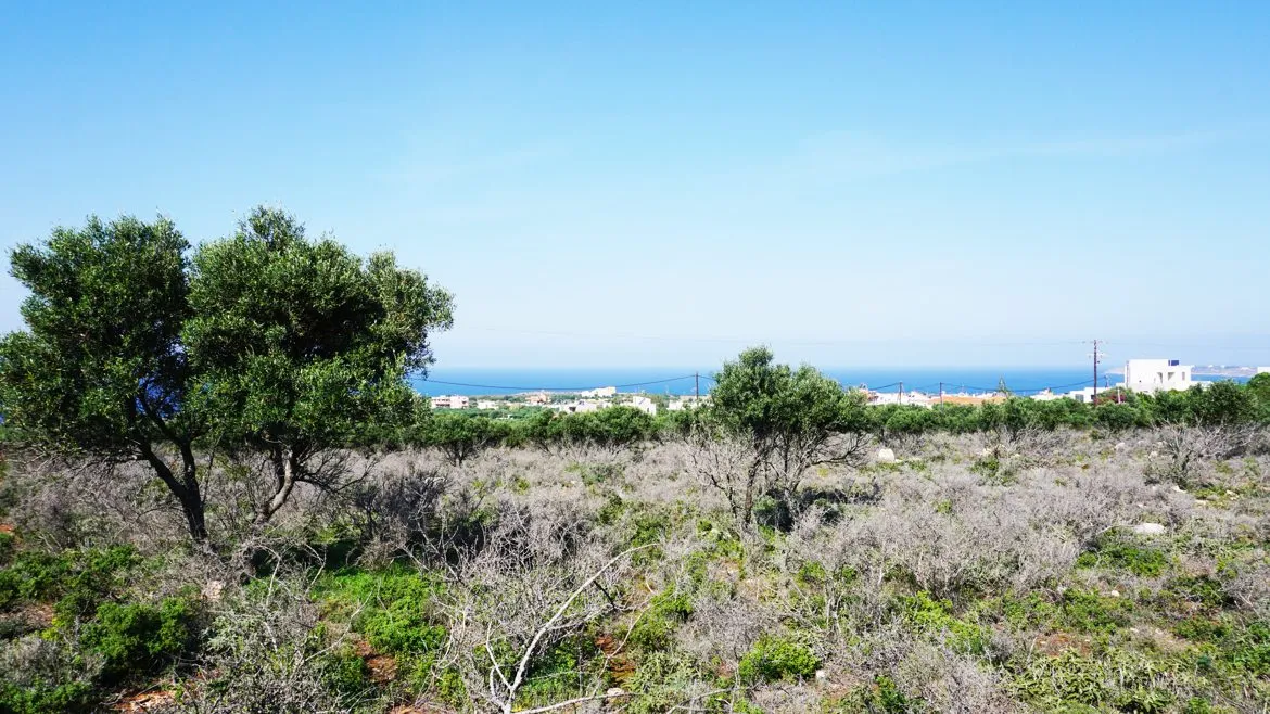 Agios Onoufrios Plot For Sale, Akrotiri Area - ARENCORES, Chania Real Estate Experts