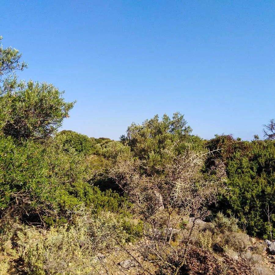 Aroni Land Plot for Sale in Akrotiri Area - CHnaia Real Estate