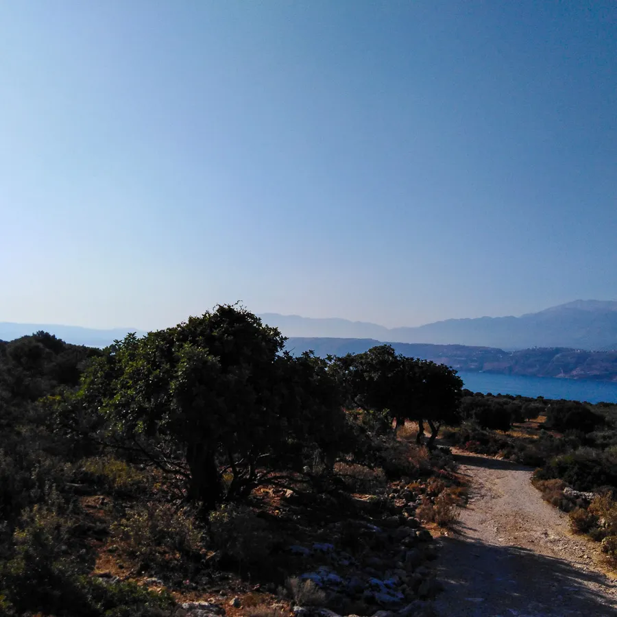 Aroni Land Plot for Sale in Akrotiri Area - CHnaia Real Estate