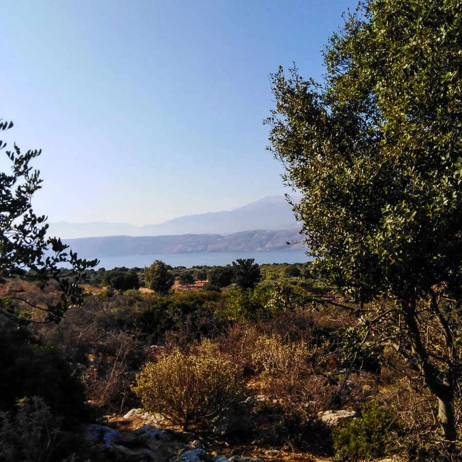 Aroni Land Plot for Sale in Akrotiri Area - CHnaia Real Estate