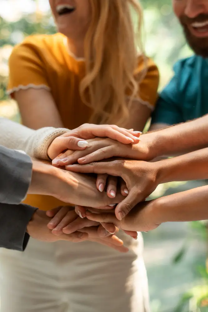 Chania Real Estate - Holistic Expertise and Comprehensive Advisory Services