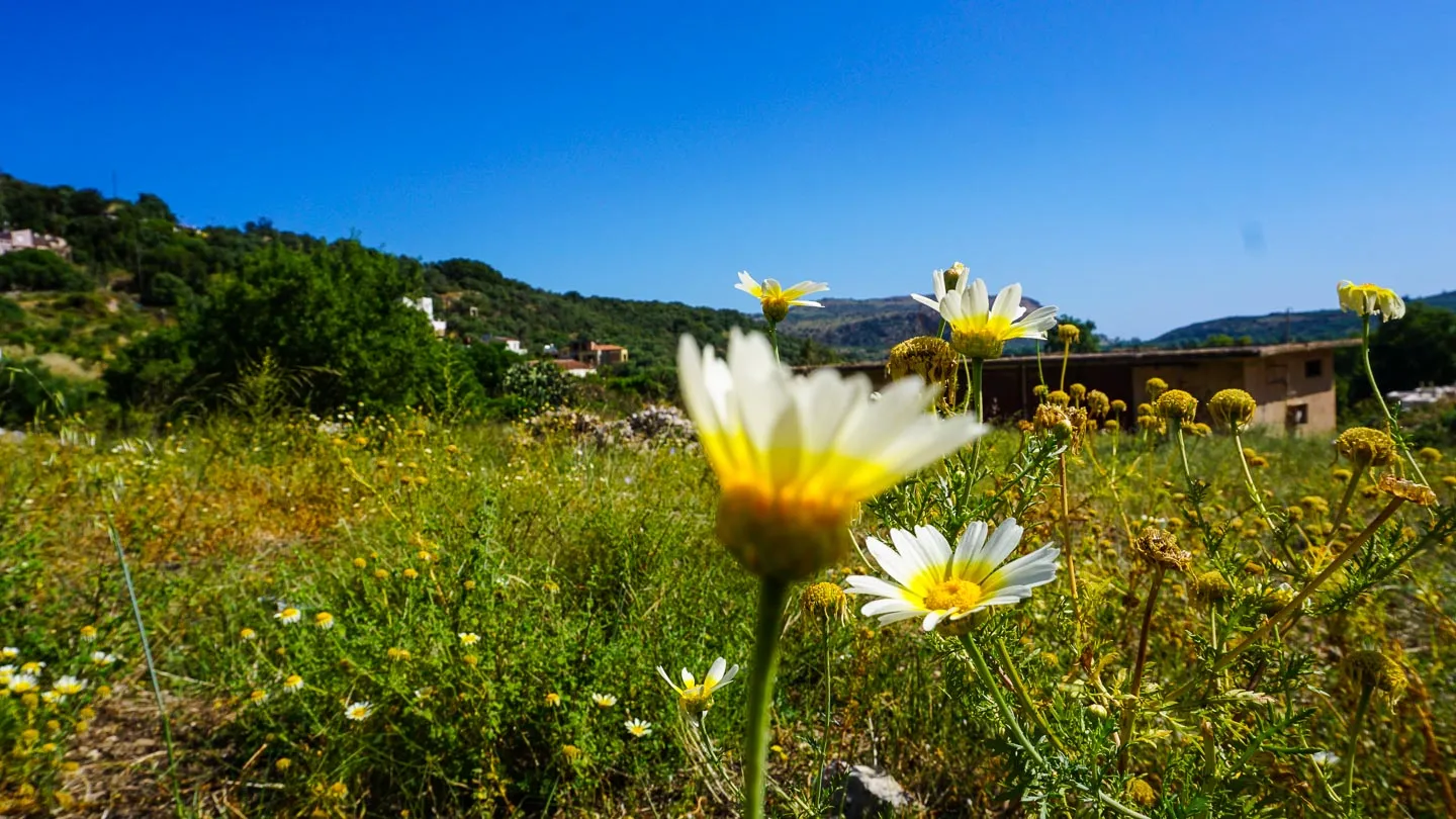 Corner Plot for Sale in Apokoronas (Stylos) - Chania Real Estate Experts