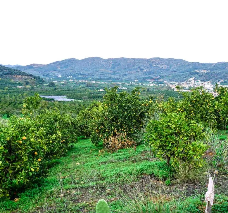 Fournes Peaceful plot for Sale - ARENCORES