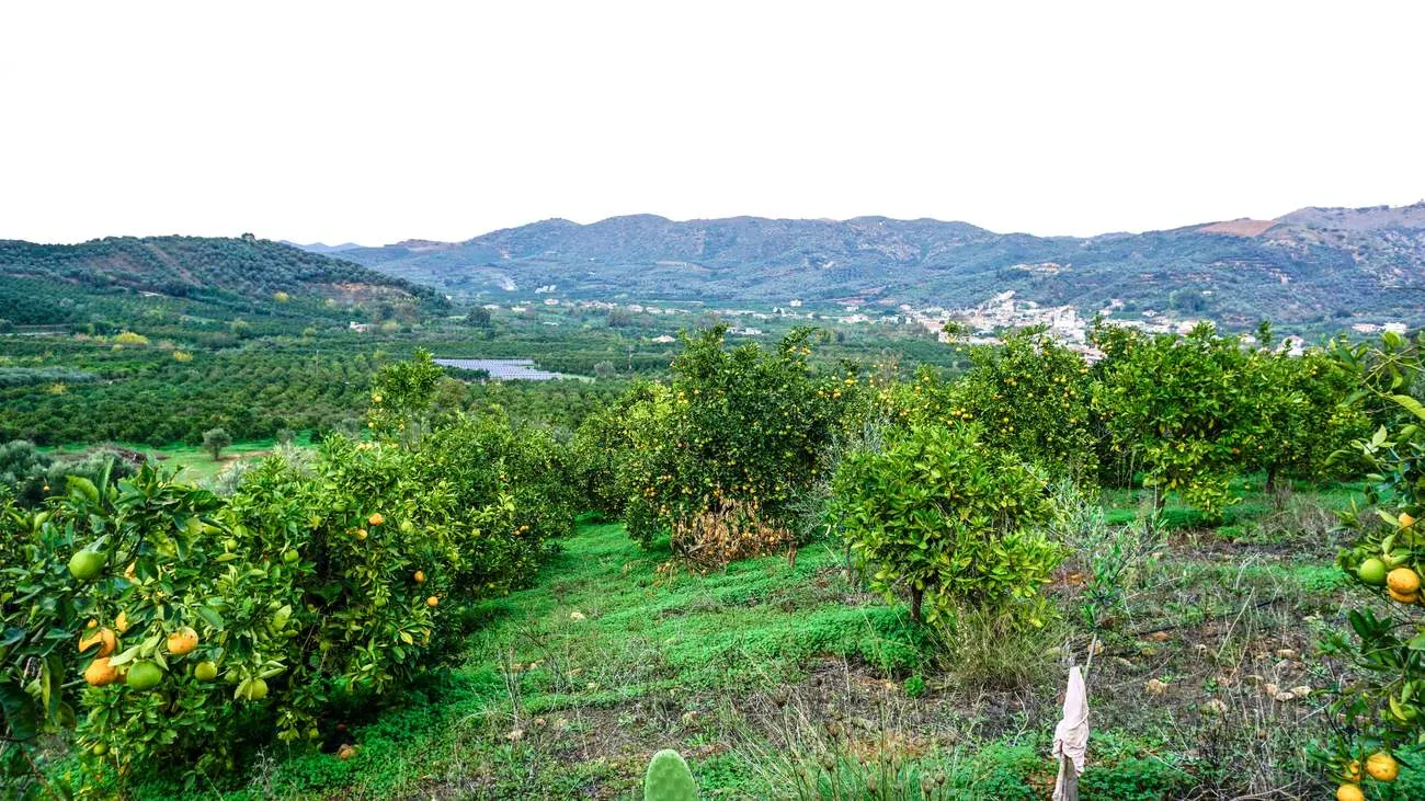 Fournes Peaceful plot for Sale - ARENCORES