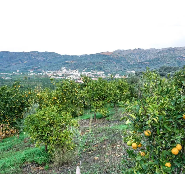 Fournes Peaceful plot for Sale - ARENCORES