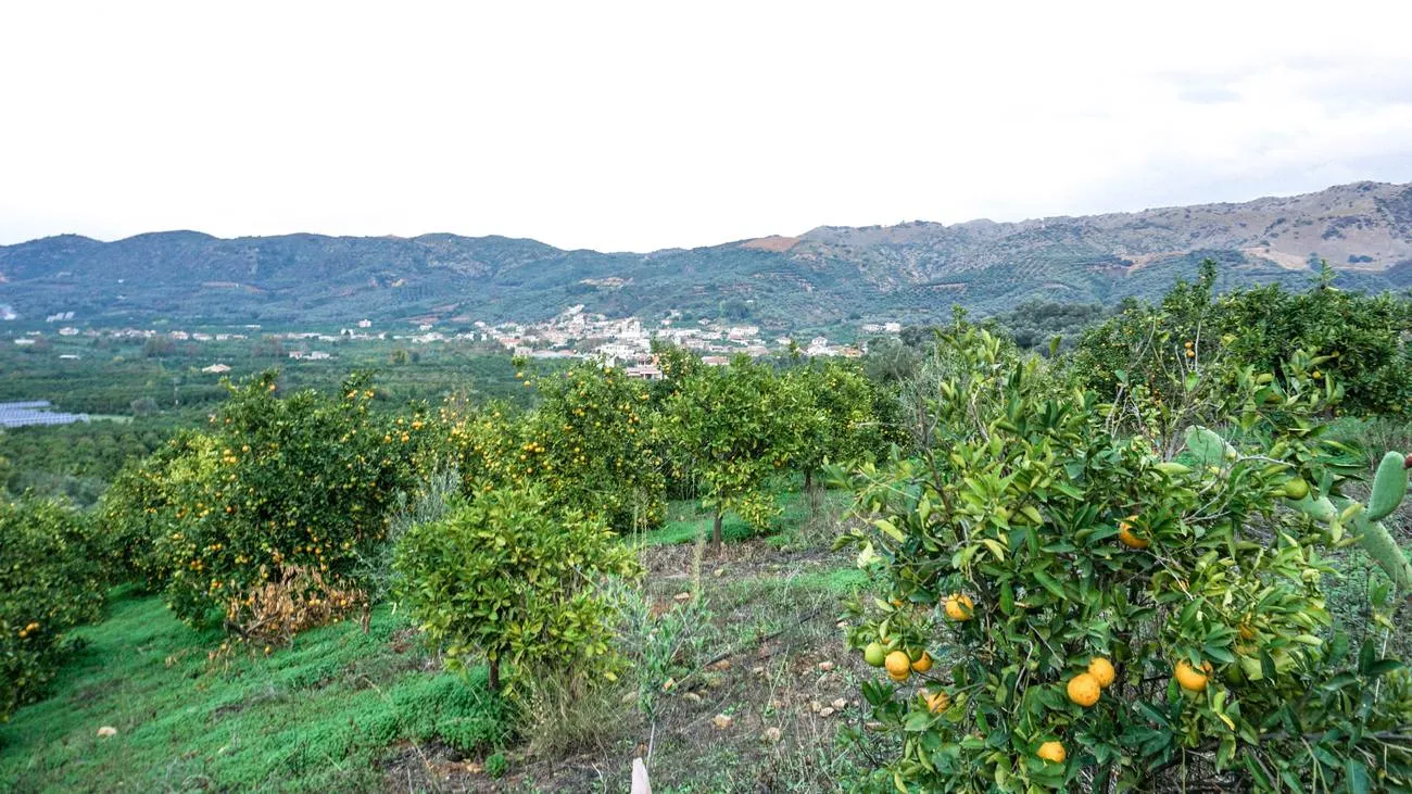 Fournes Peaceful plot for Sale - ARENCORES