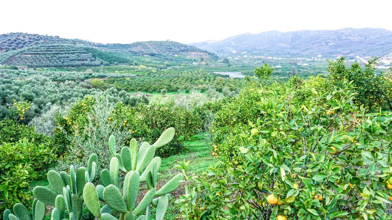 Fournes Peaceful plot for Sale - ARENCORES