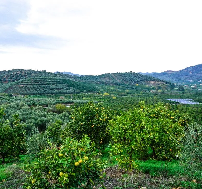 Fournes Peaceful plot for Sale - ARENCORES