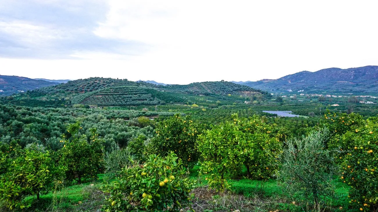 Fournes Peaceful plot for Sale - ARENCORES