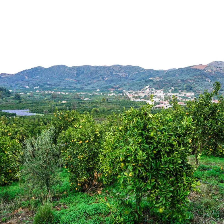 Fournes Peaceful plot for Sale - ARENCORES