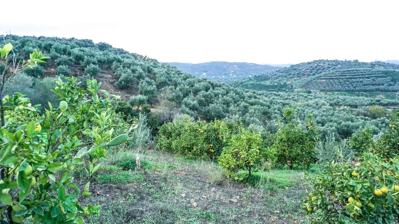 Fournes Peaceful plot for Sale - ARENCORES