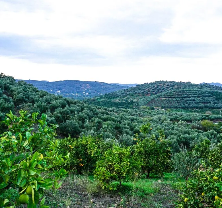Fournes Peaceful plot for Sale - ARENCORES