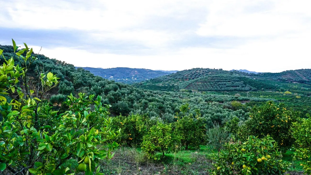Fournes Peaceful plot for Sale - ARENCORES