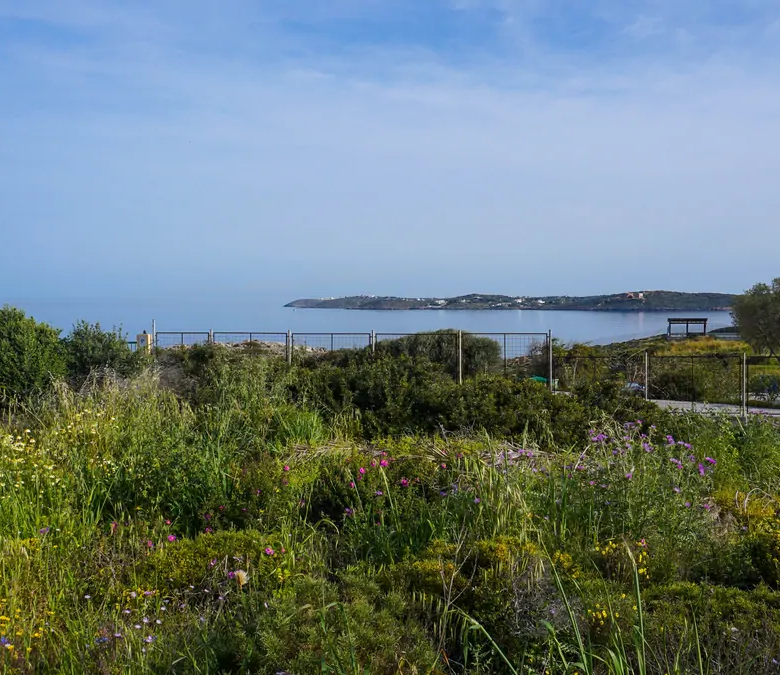 Kalatthas Sea-Front Plot for Sale - ARENCORES Chania Real Estate