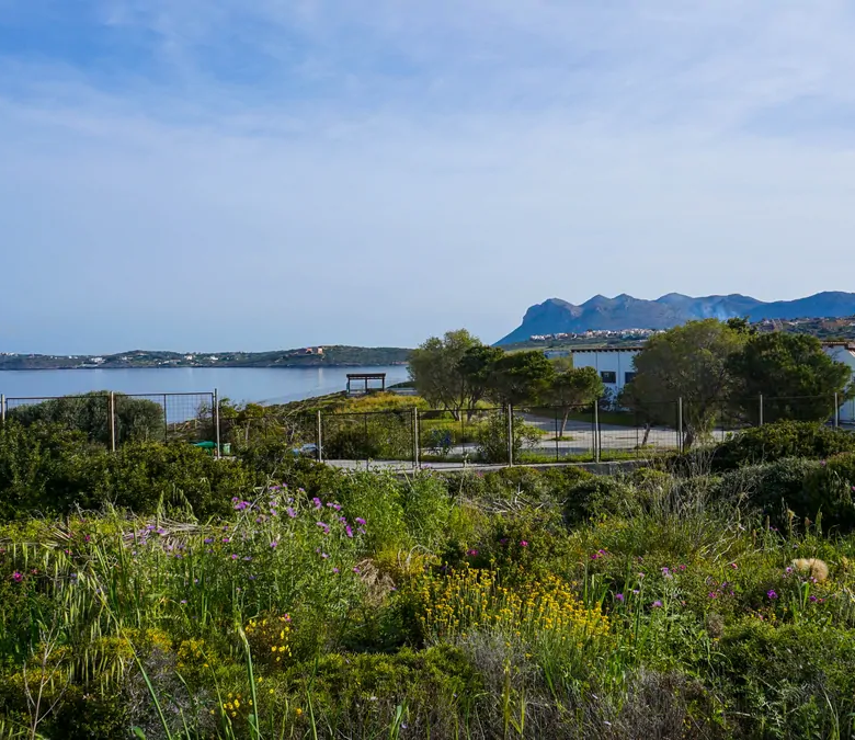 Kalatthas Sea-Front Plot for Sale - ARENCORES Chania Real Estate