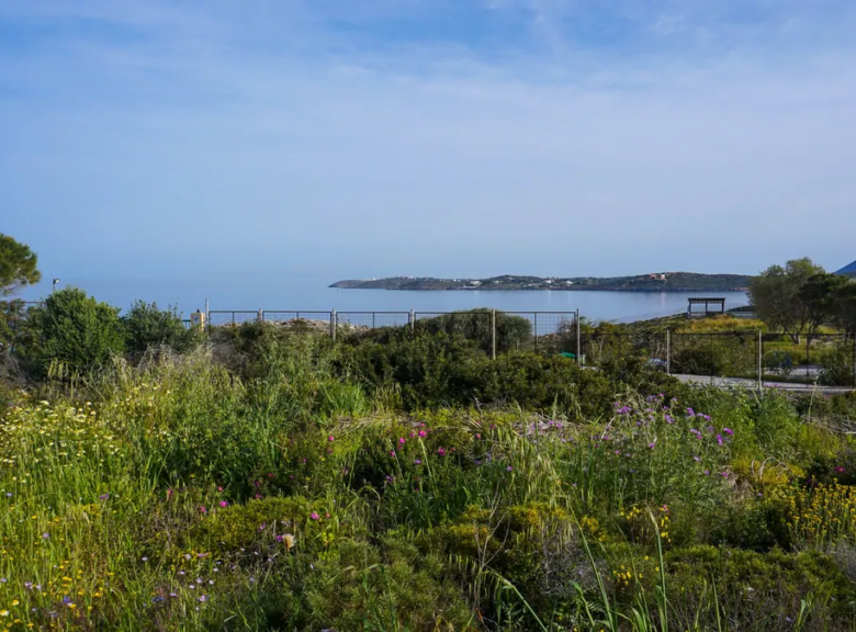 Kalatthas Sea-Front Plot for Sale - ARENCORES Chania Real Estate