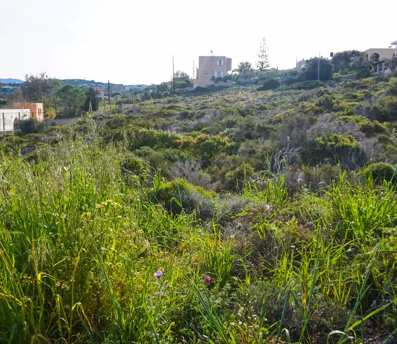 Kalatthas Sea-Front Plot for Sale - ARENCORES Chania Real Estate